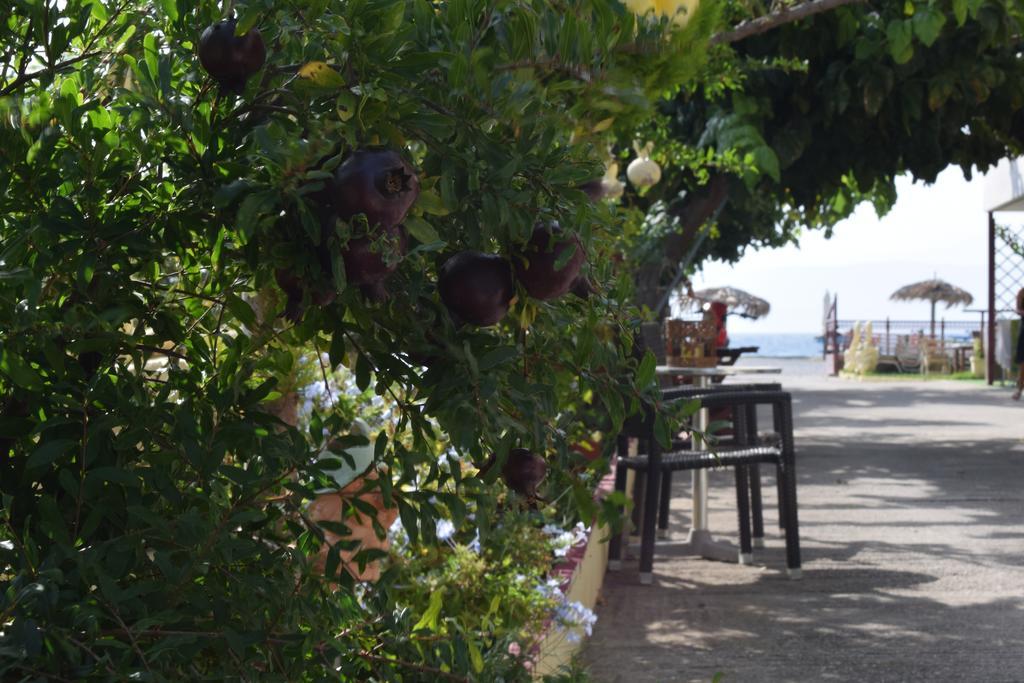 Akrotiri Rooms Αγιόκαμπος Εξωτερικό φωτογραφία